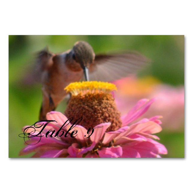 Tarjeta De Mesa Colibrí (Anverso)