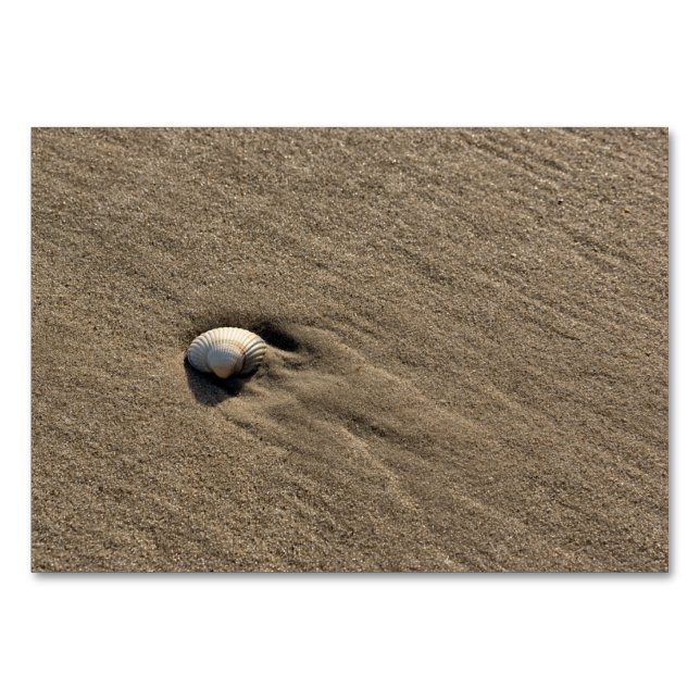 Tarjeta De Mesa Concha de mar en la playa (Reverso)