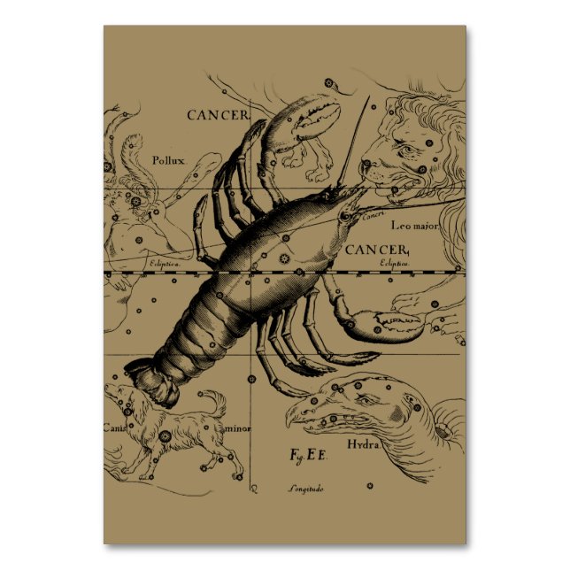 Tarjeta De Mesa Constelación de Cáncer Hevelius 1690 Junio 21-Juli (Anverso)