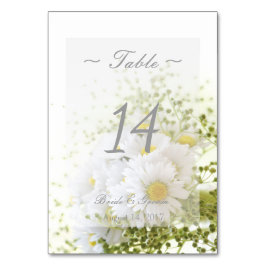 Tarjeta De Mesa Daisies en Amor - Boda Floral Número de tabla