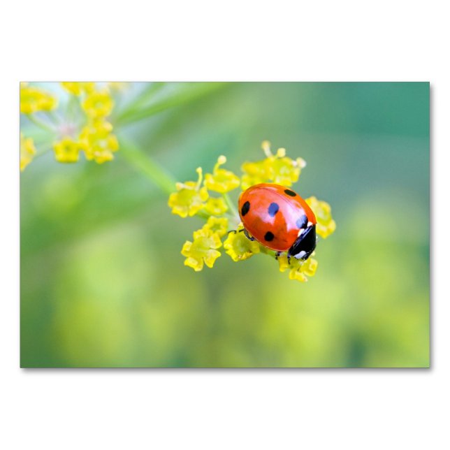 Tarjeta De Mesa dama encima (Anverso)