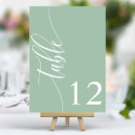 Tarjeta De Mesa Dusty Mint Green Boda de caligrafía moderna<br><div class="desc">Guíe a sus huéspedes para sentarse con estos elegantes números de mesa de boda verde polvoriento de moda. Con un diseño minimalista con caligrafía moderna, estos números de mesa le dan un toque sofisticado a la recepción de su boda. El suave fondo y la tipografía limpia y elegante garantizan una...</div>
