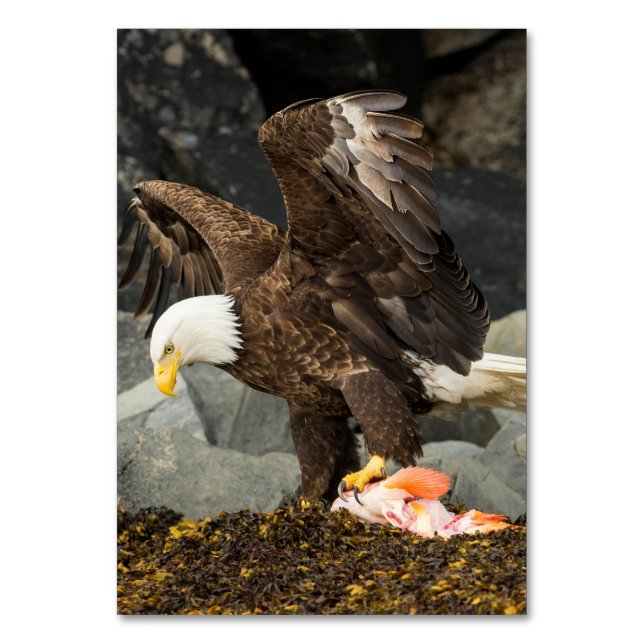 Tarjeta De Mesa El águila calva suprema (Anverso)