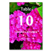 Elegante Hydrangea Flores Florales Rosa