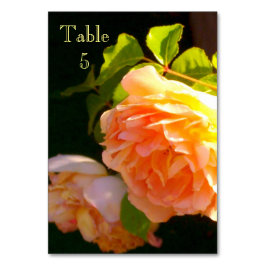 Tarjeta De Mesa Elegante naranja clásico rosas de melocotón floral