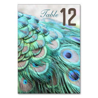 Tarjeta De Mesa Elegante Vibrante Mesa Boda de la pluma de pavo re
