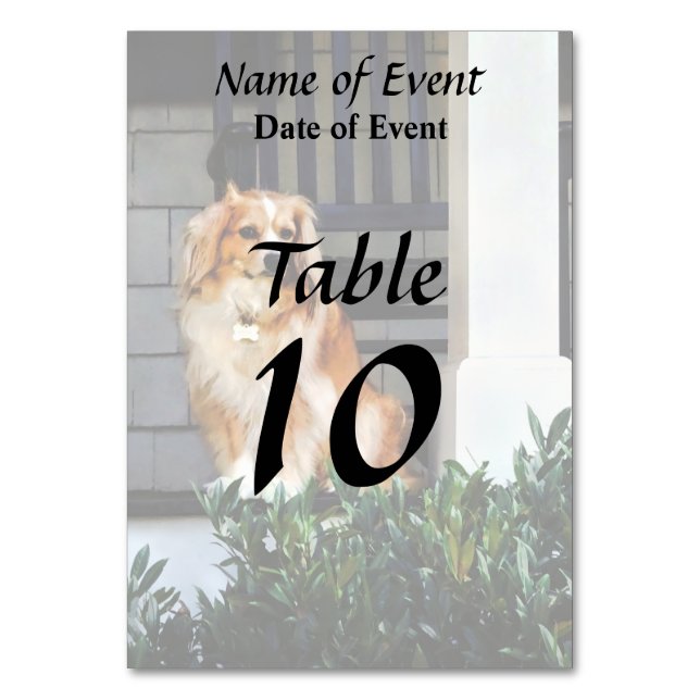 Tarjeta De Mesa Español en Porch (Anverso)