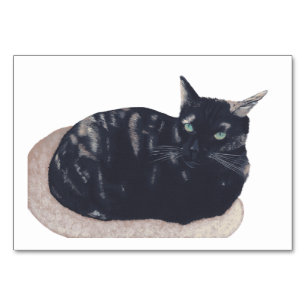 Tarjeta De Mesa Flashcards de lectura de gatos Tortoiseshell para