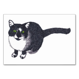 Tarjeta De Mesa Flashcards para lectura de gatos de Tuxedo para ad