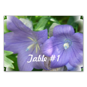 Tarjeta De Mesa Flor de globo