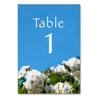 Tarjeta De Mesa Flor rosa blanca