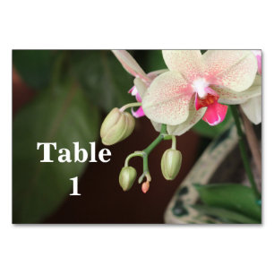 Tarjeta De Mesa Floraciones de la orquídea