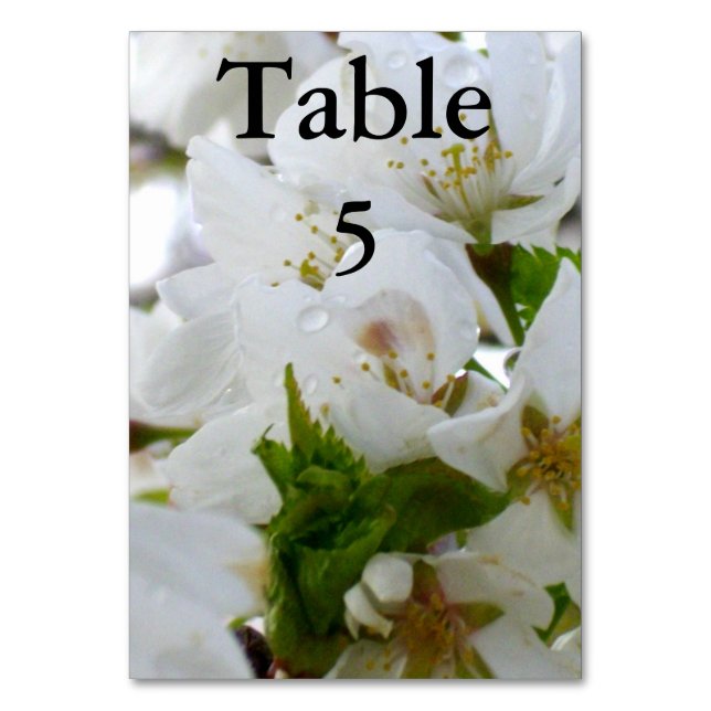 Tarjeta De Mesa Flores blancas, cerezo florido (Anverso)