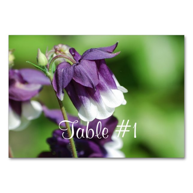 Tarjeta De Mesa Flores de Columbina (Anverso)