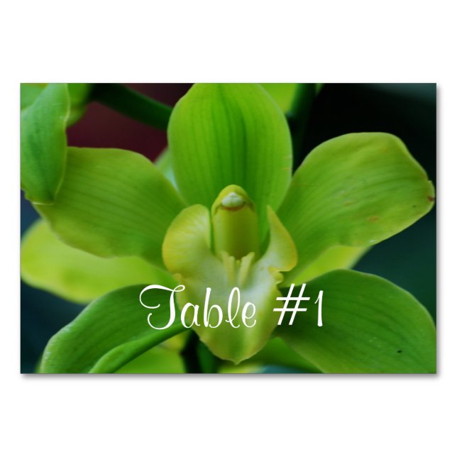 Tarjeta De Mesa Flores de orquídeas (Anverso)
