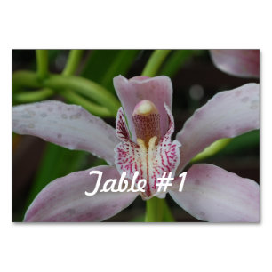 Tarjeta De Mesa Flores de orquídeas