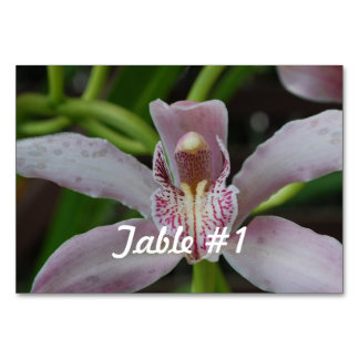 Tarjeta De Mesa Flores de orquídeas