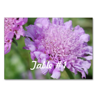 Tarjeta De Mesa Flores de Pincushion