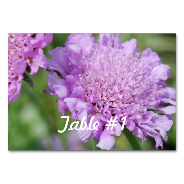 Tarjeta De Mesa Flores de Pincushion (Anverso)