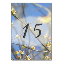 Tarjeta De Mesa Flores de primavera