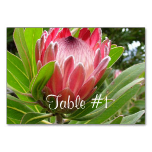 Tarjeta De Mesa Flores Protea