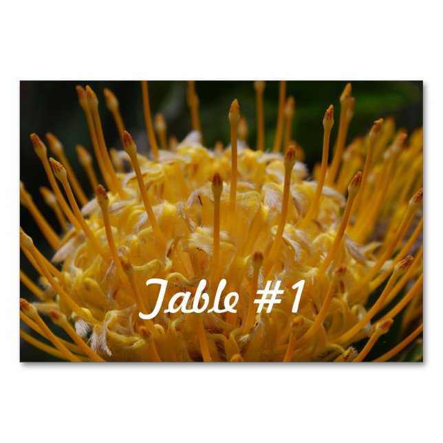Tarjeta De Mesa Flores Protea (Anverso)