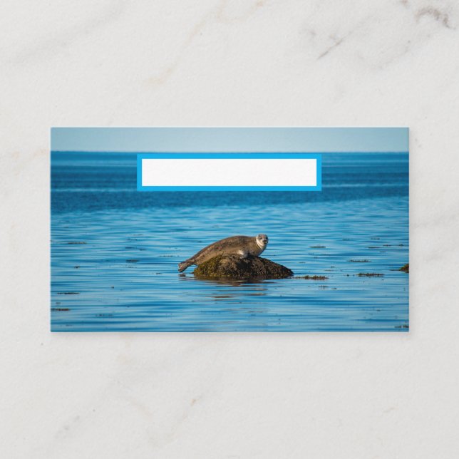 Tarjeta De Mesa Foca de puerto Atlántico (Anverso)