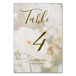 Tarjeta De Mesa Fotos de rosas blancas románticas desvanecidas par