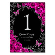Fuchsia Pink Black Silver Quinceanera