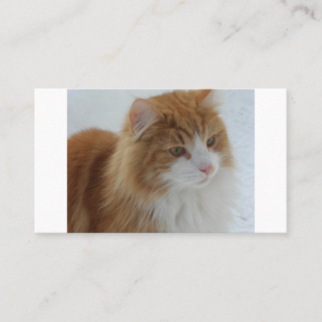 Tarjeta De Mesa Gato_del_bosque_noruego (Anverso)