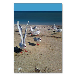 Tarjeta De Mesa Gaviotas a orillas del mar de Azov