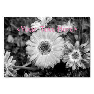 Tarjeta De Mesa Gerbera Daisy Fotografía en blanco y negro