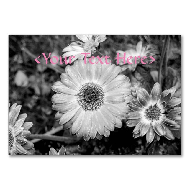 Tarjeta De Mesa Gerbera Daisy Fotografía en blanco y negro (Anverso)