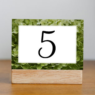 Tarjeta De Mesa Green Annabelle Hydrangea Números de la tabla flor