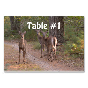 Tarjeta De Mesa Grupo de venados