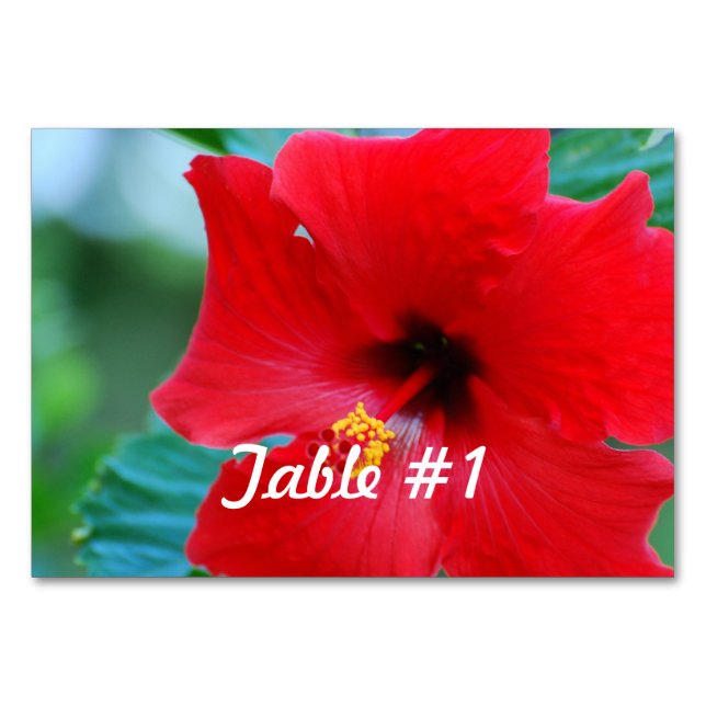 Tarjeta De Mesa Hibiscus Flowers (Anverso)