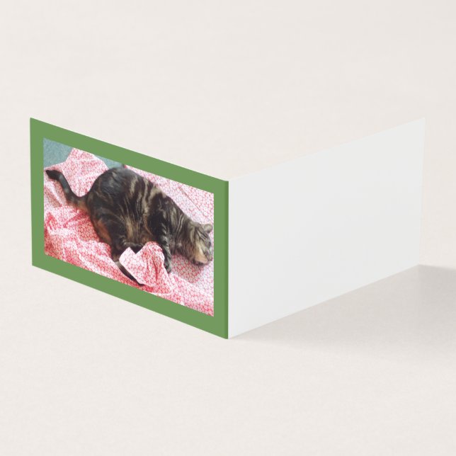 Tarjeta de mesa horizontal plegada del libro del s (Exterior)