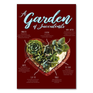 Tarjeta De Mesa Jardín De Suculentos
