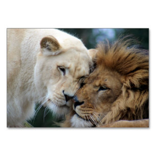 Tarjeta De Mesa León y leona