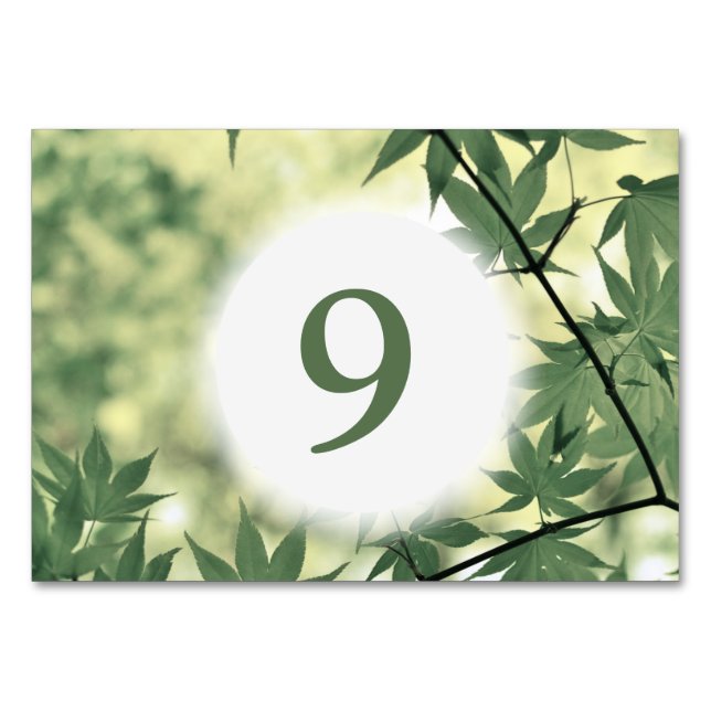 Tarjeta De Mesa Luz solar a través del Personalizado de hojas de a (Reverso)