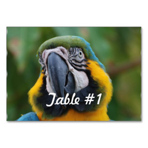 Tarjeta De Mesa Macao azul y oro