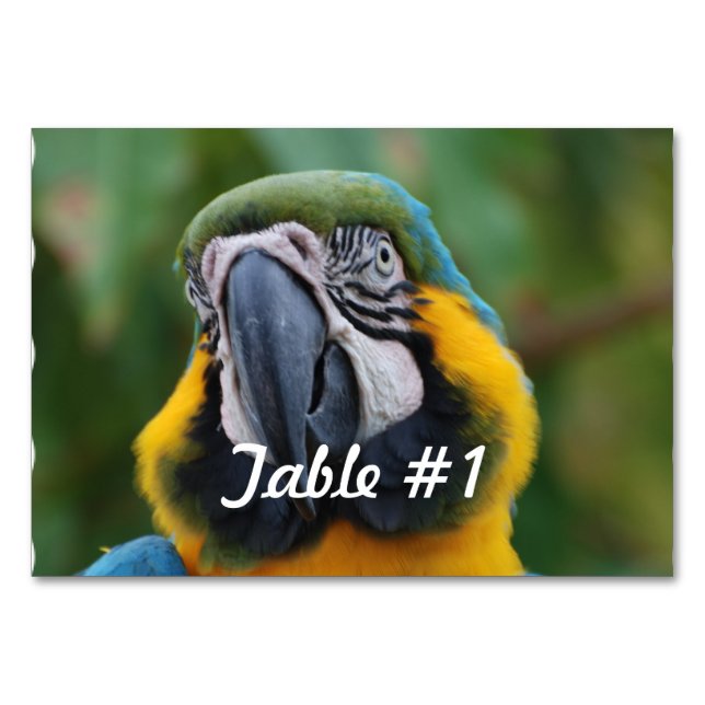 Tarjeta De Mesa Macao azul y oro (Anverso)