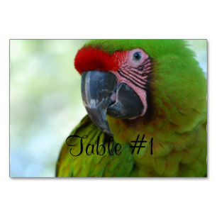 Tarjeta De Mesa Macaws