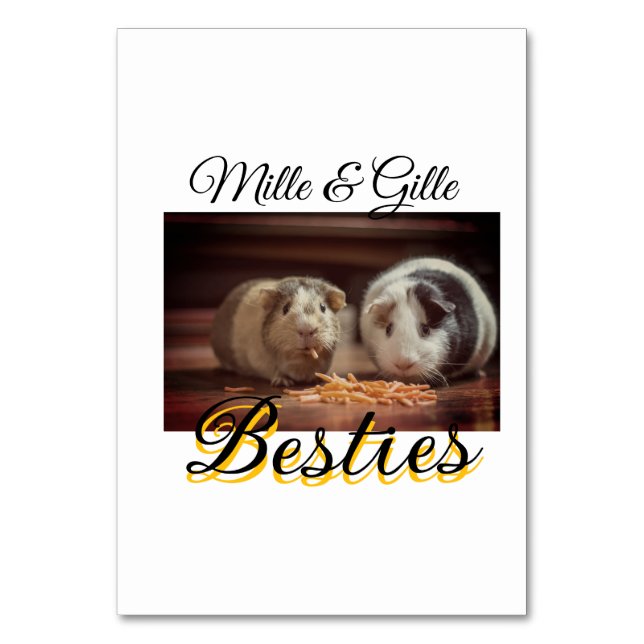 Tarjeta De Mesa Mascotas amigos bestias agregar nombre mascota fot (Anverso)