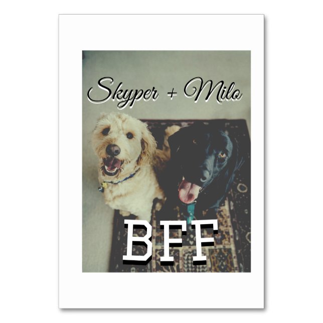 Tarjeta De Mesa Mascotas amigos bestias agregar nombre mascota fot (Anverso)