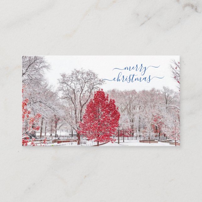 Tarjeta De Mesa Merry Christmas Place Cards (Anverso)