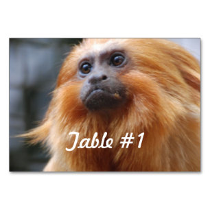 Tarjeta De Mesa Mono del León Dorado Tamarin