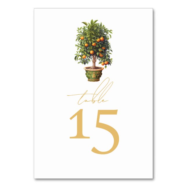 Tarjeta De Mesa Naranja Boda de verano (Anverso)