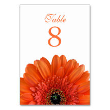 Naranja Gerbera Daisy Boda Blanco