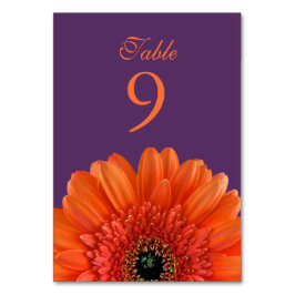 Tarjeta De Mesa Naranja Gerbera Daisy Purple Boda